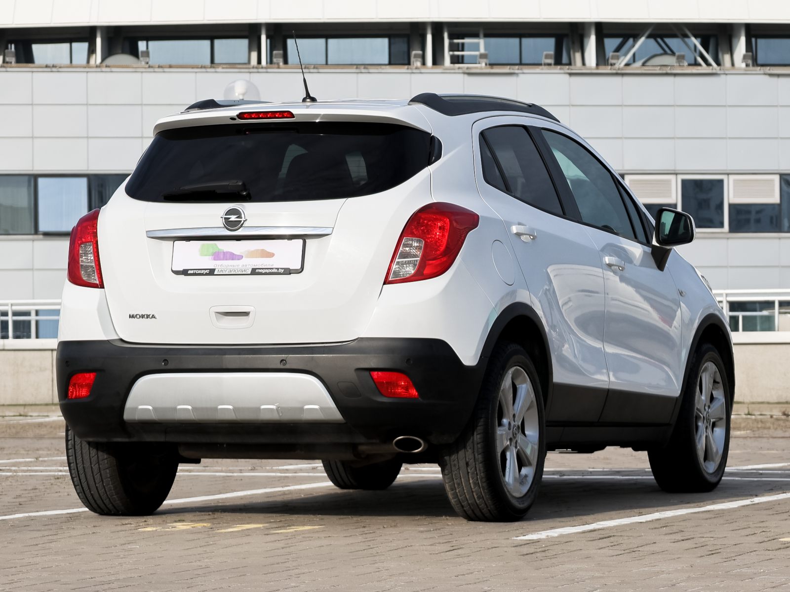  Mokka