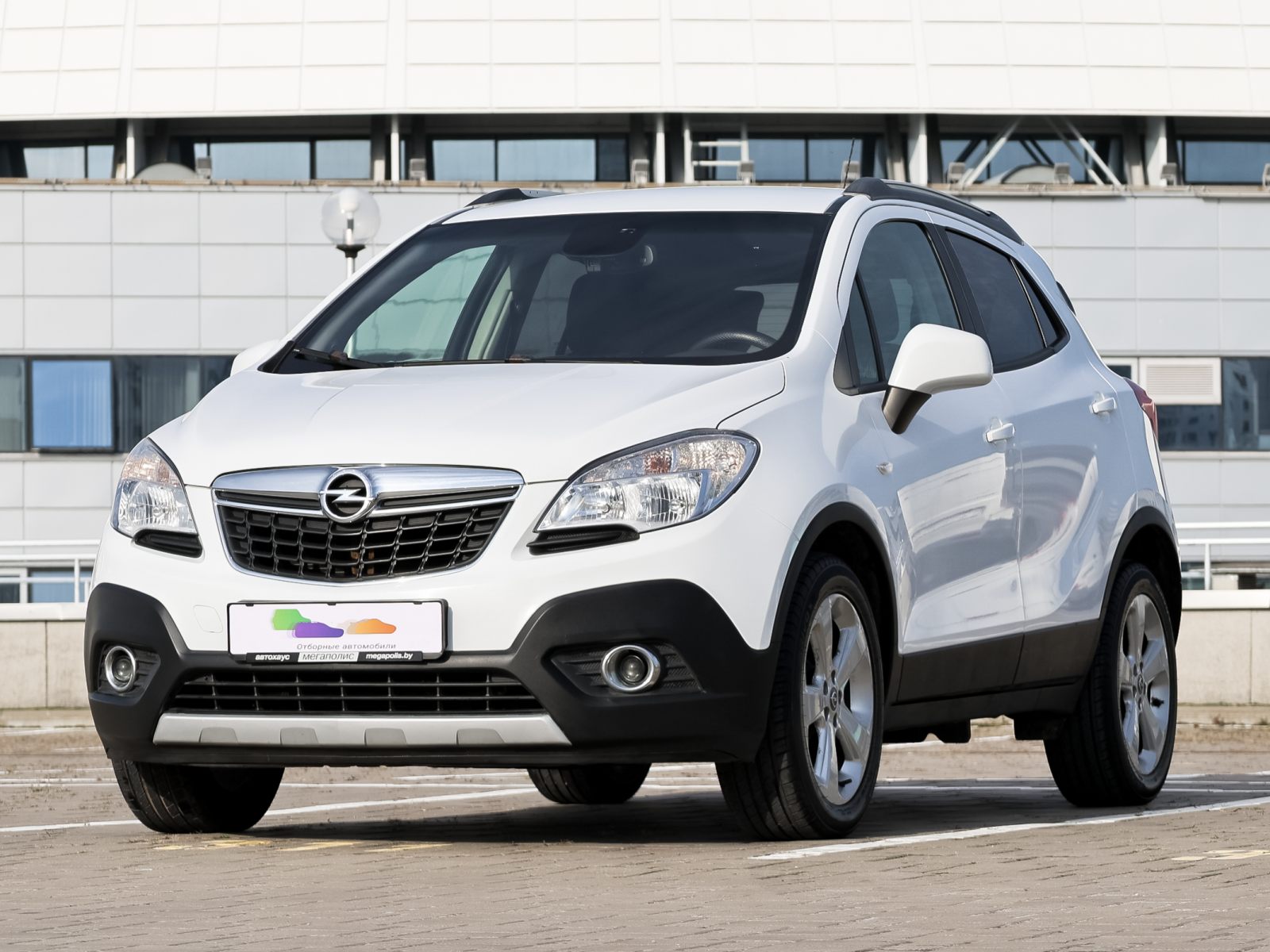  Mokka