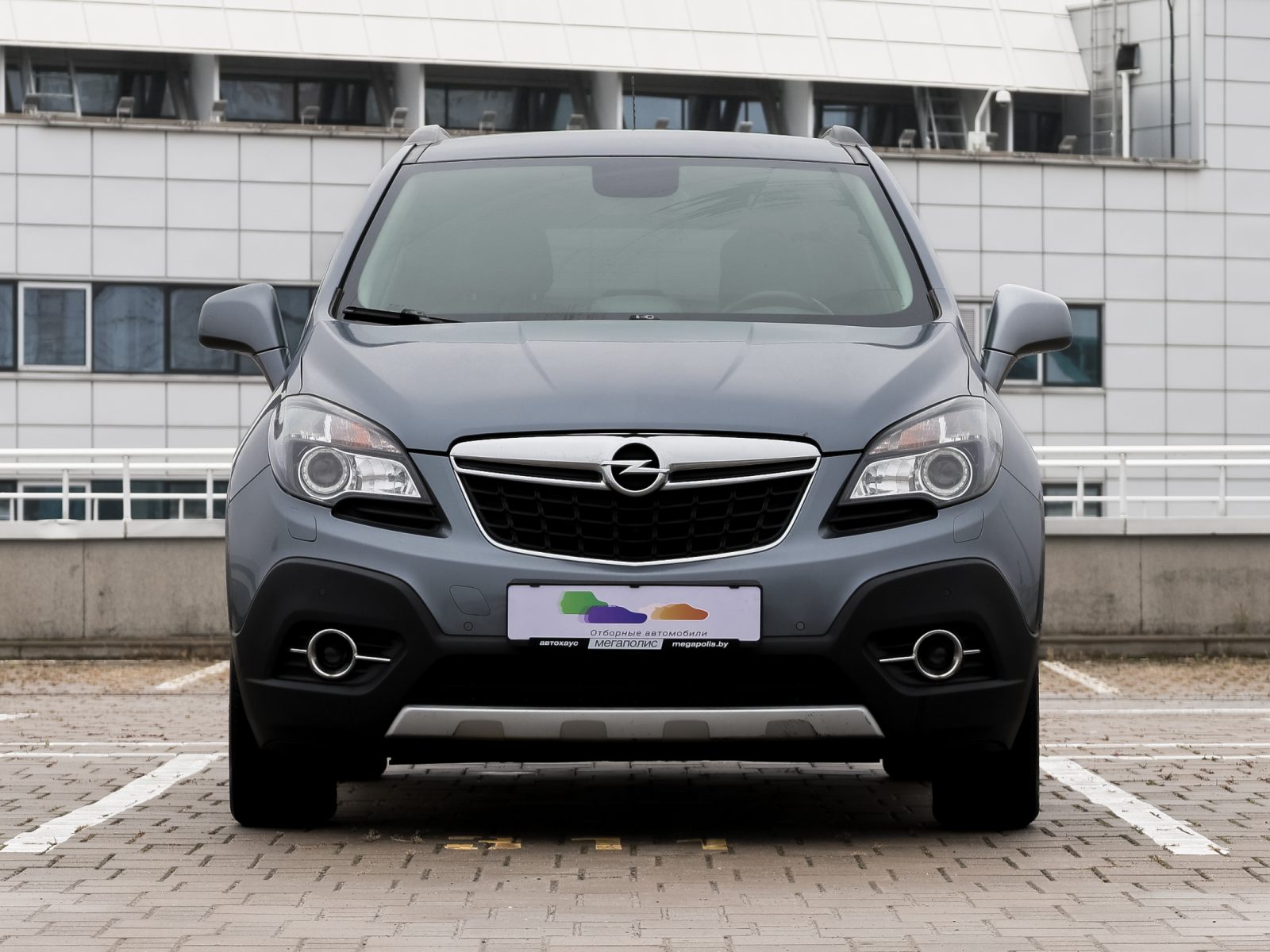  Mokka