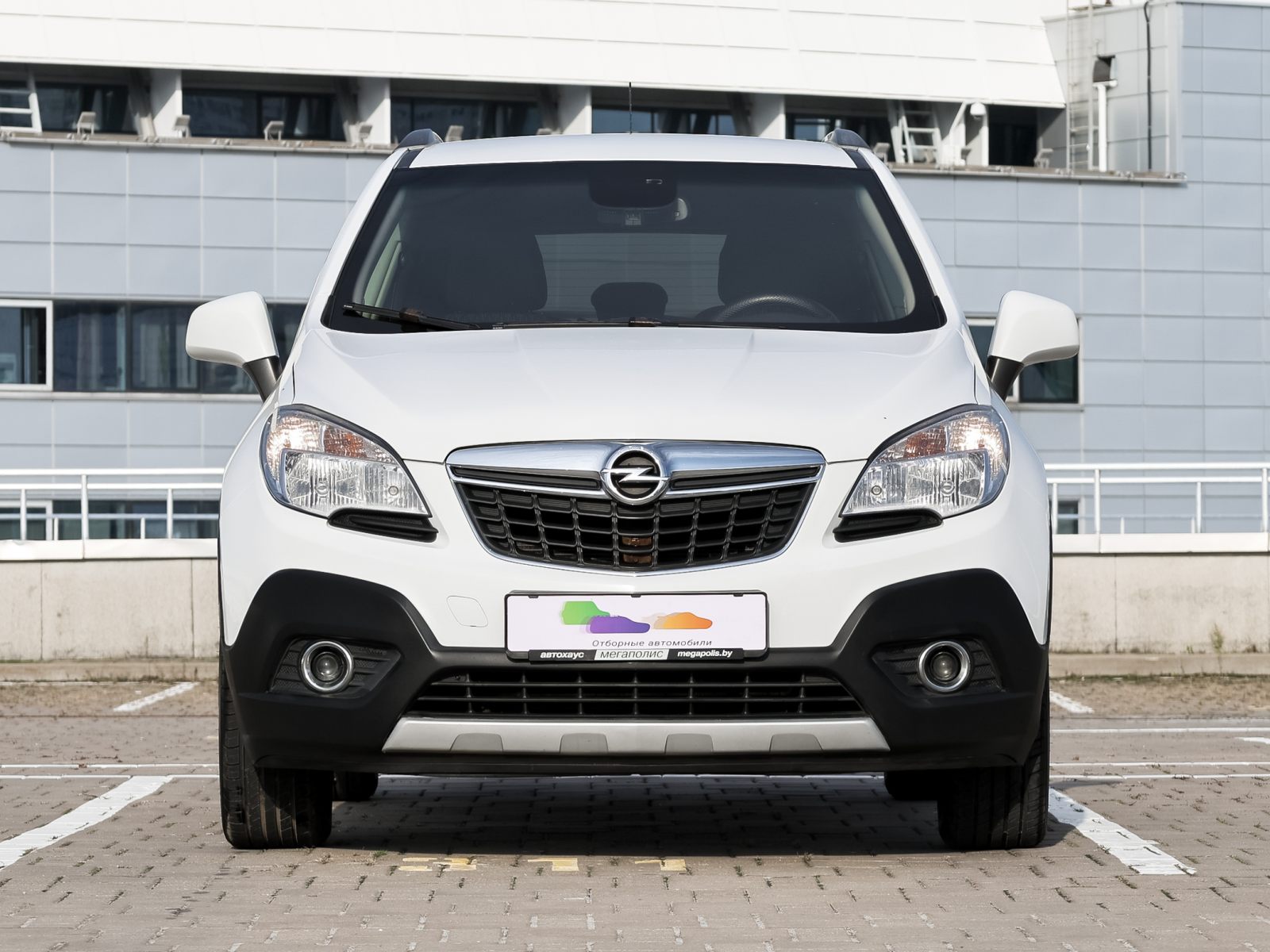  Mokka