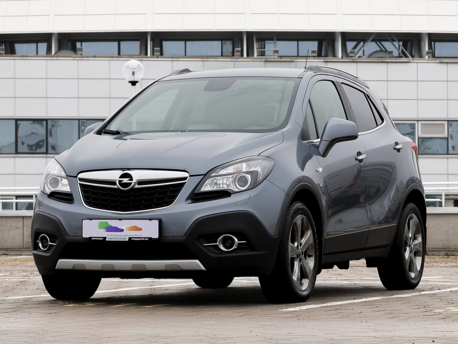  Mokka