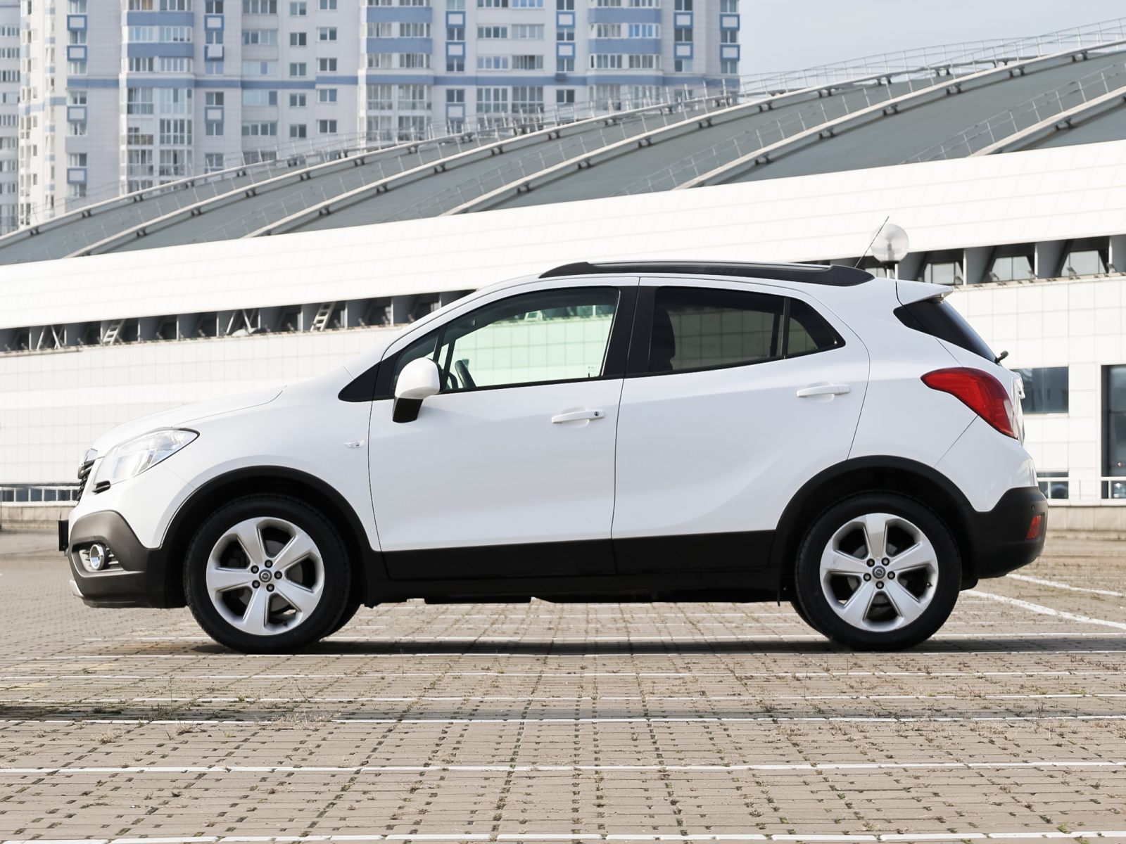  Mokka