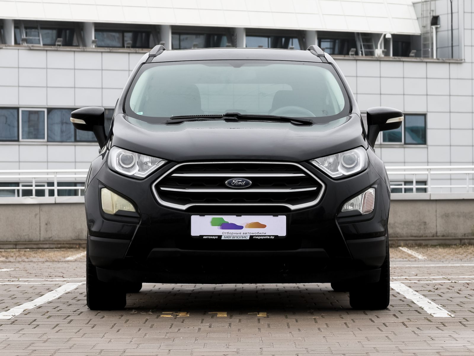  EcoSport